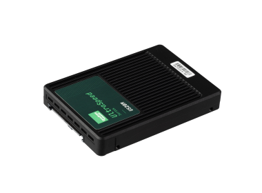 Hard drive GoodRAM US20M 3.84TB SSD NVMe PCIe 5.0x4 U.2 2.5" 3D TLC NAND RI GEUS20UASP-3T8TP10B